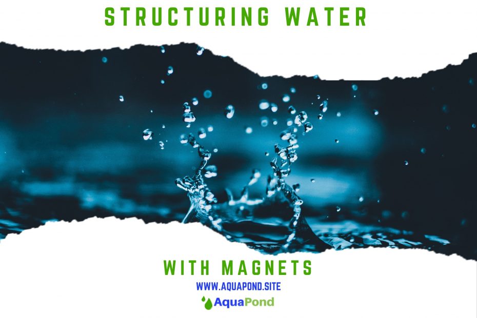 Magnets can be used to structure water or act as a water softener
