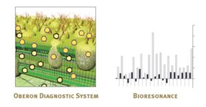 Measurements with the Oberon® diagnostic system