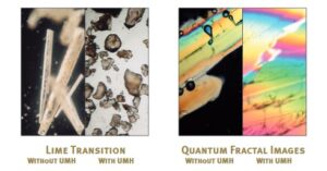 simple microscope photographs of lime composition