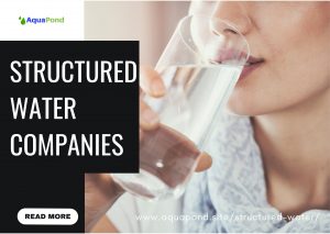 Companies MakingStructured Water Products