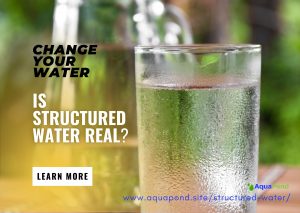 Is Structured Water Real