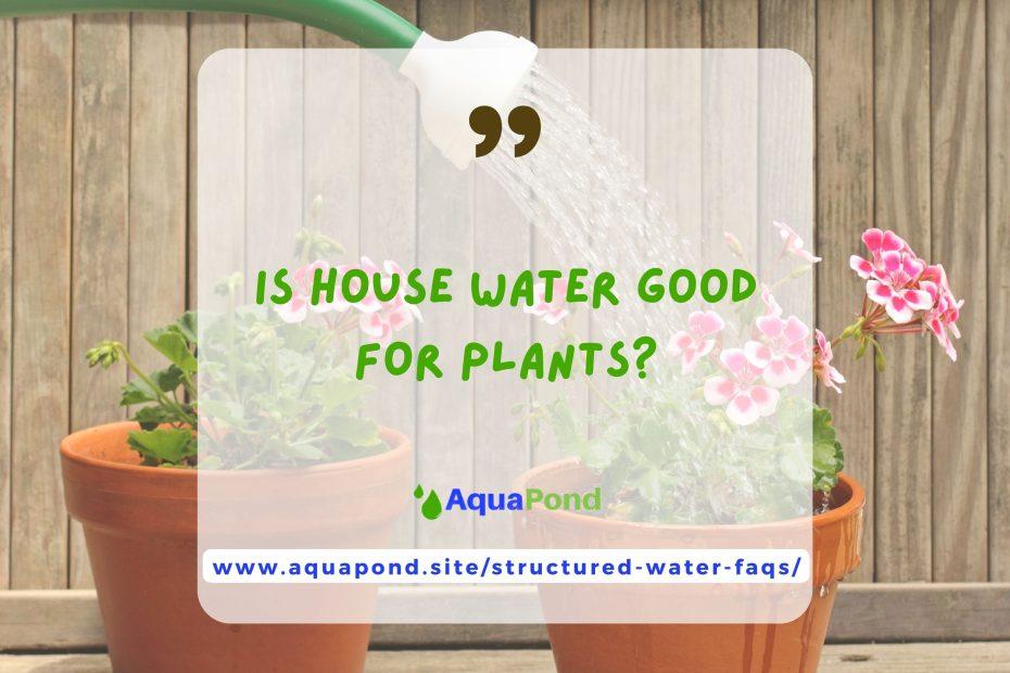 Is house water good for plants