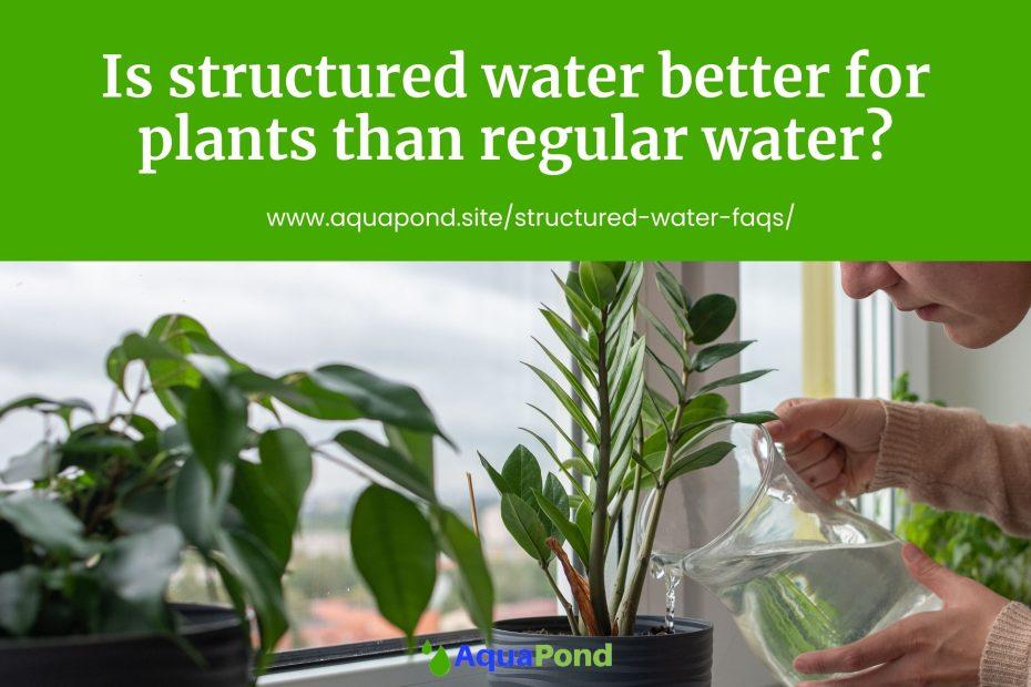 Is structured water better for plants than regular water