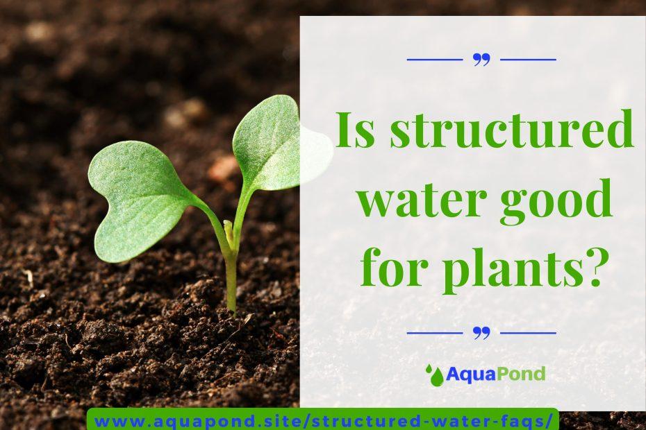 Is structured water good for plants