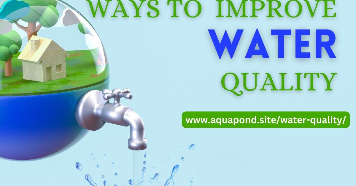 Ways To Improve Water Quality Aqua Pond