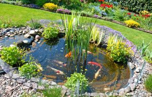 How to Create a Clean and Clear Ecosystem Pond: Essential Steps for Success 9 Aqua Pond, Pond Cleaning, Pond Repair, Pond Maintenance