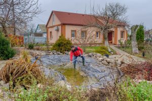 Sterlet Fish Care in a Garden Pond: Essential Tips for Success 6 Aqua Pond, Pond Cleaning, Pond Repair, Pond Maintenance