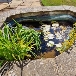 Aqua Pond Ltd | Pond Cleaning, Maintenance and Repairs Aqua Pond Ltd | Pond Cleaning Maintenance and Repairs