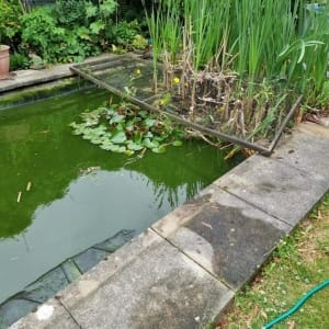 Aqua Pond Ltd | Pond Cleaning, Maintenance and Repairs Aqua Pond Ltd | Pond Cleaning Maintenance and Repairs