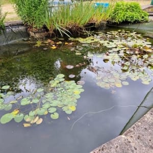 Aqua Pond Ltd | Pond Cleaning, Maintenance and Repairs Aqua Pond Ltd | Pond Cleaning Maintenance and Repairs