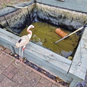 Aqua Pond Ltd | Pond Cleaning, Maintenance and Repairs Aqua Pond Ltd | Pond Cleaning Maintenance and Repairs