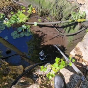 Aqua Pond Ltd | Pond Cleaning, Maintenance and Repairs Aqua Pond Ltd | Pond Cleaning Maintenance and Repairs