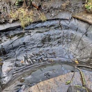 Aqua Pond Ltd | Pond Cleaning, Maintenance and Repairs Aqua Pond Ltd | Pond Cleaning Maintenance and Repairs