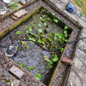 Aqua Pond Ltd | Pond Cleaning, Maintenance and Repairs Aqua Pond Ltd | Pond Cleaning Maintenance and Repairs