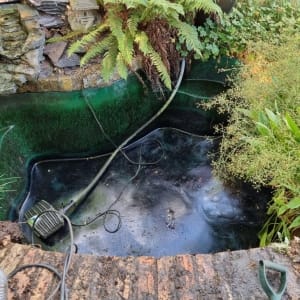 Aqua Pond Ltd | Pond Cleaning, Maintenance and Repairs Aqua Pond Ltd | Pond Cleaning Maintenance and Repairs