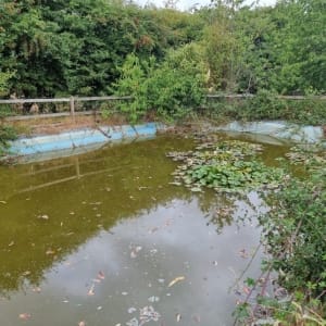 Aqua Pond Ltd | Pond Cleaning, Maintenance and Repairs Aqua Pond Ltd | Pond Cleaning Maintenance and Repairs