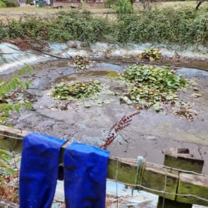 Aqua Pond Ltd | Pond Cleaning, Maintenance and Repairs Aqua Pond Ltd | Pond Cleaning Maintenance and Repairs