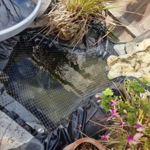 Aqua Pond Ltd | Pond Cleaning, Maintenance and Repairs Aqua Pond Ltd | Pond Cleaning Maintenance and Repairs