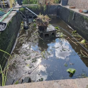Aqua Pond Ltd | Pond Cleaning, Maintenance and Repairs Aqua Pond Ltd | Pond Cleaning Maintenance and Repairs