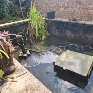 Aqua Pond Ltd | Pond Cleaning, Maintenance and Repairs Aqua Pond Ltd | Pond Cleaning Maintenance and Repairs