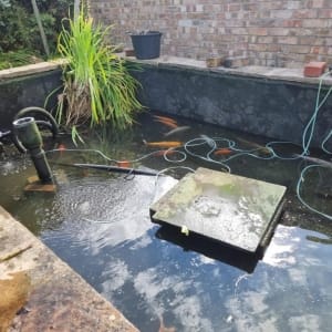 Aqua Pond Ltd | Pond Cleaning, Maintenance and Repairs Aqua Pond Ltd | Pond Cleaning Maintenance and Repairs