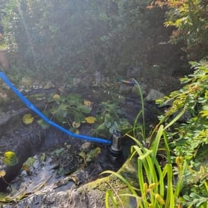 Aqua Pond Ltd | Pond Cleaning, Maintenance and Repairs Aqua Pond Ltd | Pond Cleaning Maintenance and Repairs