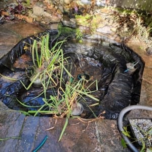 Aqua Pond Ltd | Pond Cleaning, Maintenance and Repairs Aqua Pond Ltd | Pond Cleaning Maintenance and Repairs