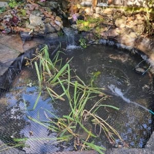 Aqua Pond Ltd | Pond Cleaning, Maintenance and Repairs Aqua Pond Ltd | Pond Cleaning Maintenance and Repairs