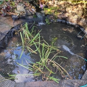 Aqua Pond Ltd | Pond Cleaning, Maintenance and Repairs Aqua Pond Ltd | Pond Cleaning Maintenance and Repairs