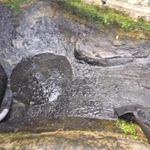 Aqua Pond Ltd | Pond Cleaning, Maintenance and Repairs Aqua Pond Ltd | Pond Cleaning Maintenance and Repairs