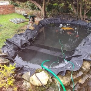 Aqua Pond Ltd | Pond Cleaning, Maintenance and Repairs Aqua Pond Ltd | Pond Cleaning Maintenance and Repairs