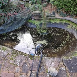 Aqua Pond Ltd | Pond Cleaning, Maintenance and Repairs Aqua Pond Ltd | Pond Cleaning Maintenance and Repairs