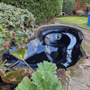 Aqua Pond Ltd | Pond Cleaning, Maintenance and Repairs Aqua Pond Ltd | Pond Cleaning Maintenance and Repairs