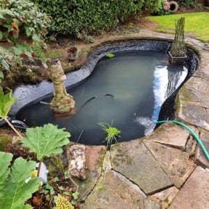Aqua Pond Ltd | Pond Cleaning, Maintenance and Repairs Aqua Pond Ltd | Pond Cleaning Maintenance and Repairs