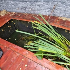 Aqua Pond Ltd | Pond Cleaning, Maintenance and Repairs Aqua Pond Ltd | Pond Cleaning Maintenance and Repairs