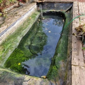 Aqua Pond Ltd | Pond Cleaning, Maintenance and Repairs Aqua Pond Ltd | Pond Cleaning Maintenance and Repairs