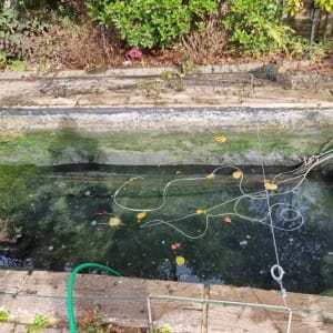 Aqua Pond Ltd | Pond Cleaning, Maintenance and Repairs Aqua Pond Ltd | Pond Cleaning Maintenance and Repairs