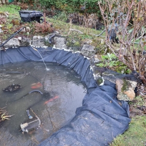 Aqua Pond Ltd | Pond Cleaning, Maintenance and Repairs Aqua Pond Ltd | Pond Cleaning Maintenance and Repairs