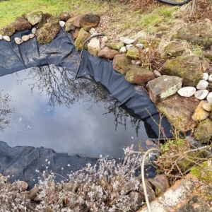 Aqua Pond Ltd | Pond Cleaning, Maintenance and Repairs Aqua Pond Ltd | Pond Cleaning Maintenance and Repairs