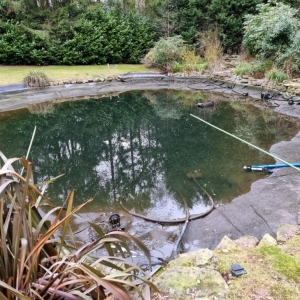 Aqua Pond Ltd | Pond Cleaning, Maintenance and Repairs Aqua Pond Ltd | Pond Cleaning Maintenance and Repairs