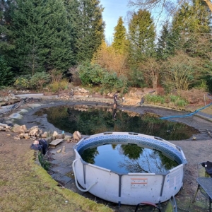Aqua Pond Ltd | Pond Cleaning, Maintenance and Repairs Aqua Pond Ltd | Pond Cleaning Maintenance and Repairs
