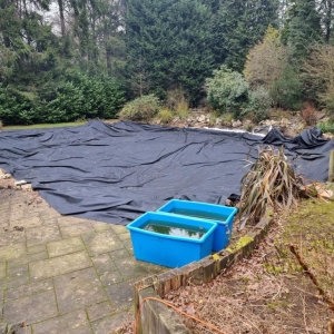 Aqua Pond Ltd | Pond Cleaning, Maintenance and Repairs Aqua Pond Ltd | Pond Cleaning Maintenance and Repairs
