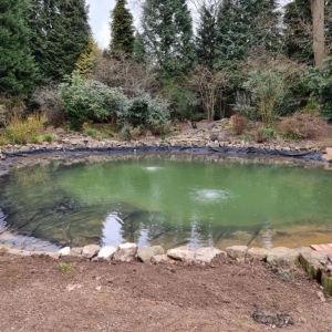 Aqua Pond Ltd | Pond Cleaning, Maintenance and Repairs Aqua Pond Ltd | Pond Cleaning Maintenance and Repairs