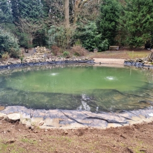 Aqua Pond Ltd | Pond Cleaning, Maintenance and Repairs Aqua Pond Ltd | Pond Cleaning Maintenance and Repairs