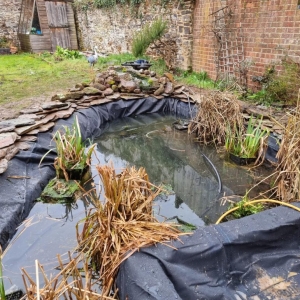 Aqua Pond Ltd | Pond Cleaning, Maintenance and Repairs Aqua Pond Ltd | Pond Cleaning Maintenance and Repairs
