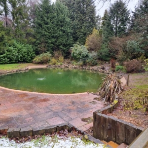 Aqua Pond Ltd | Pond Cleaning, Maintenance and Repairs Aqua Pond Ltd | Pond Cleaning Maintenance and Repairs