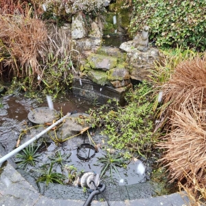 Aqua Pond Ltd | Pond Cleaning, Maintenance and Repairs Aqua Pond Ltd | Pond Cleaning Maintenance and Repairs