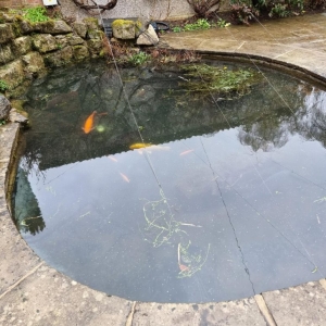 Aqua Pond Ltd | Pond Cleaning, Maintenance and Repairs Aqua Pond Ltd | Pond Cleaning Maintenance and Repairs