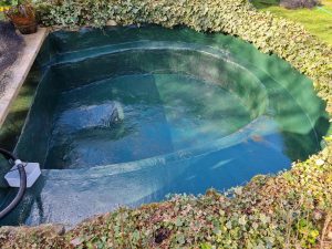 How Do You Get Rid of Duck Weed: Effective Strategies for a Clean Pond 8 Aqua Pond, Pond Cleaning, Pond Repair, Pond Maintenance