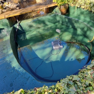 Aqua Pond Ltd | Pond Cleaning, Maintenance and Repairs Aqua Pond Ltd | Pond Cleaning Maintenance and Repairs